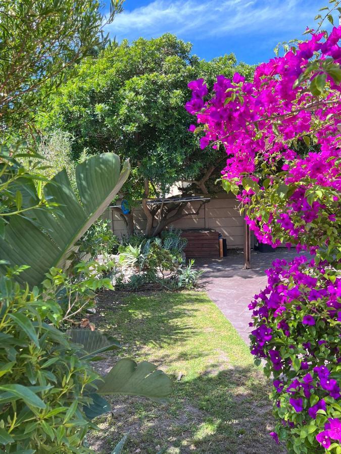 Sunset Beach Living Guesthouse Cape Town Dış mekan fotoğraf