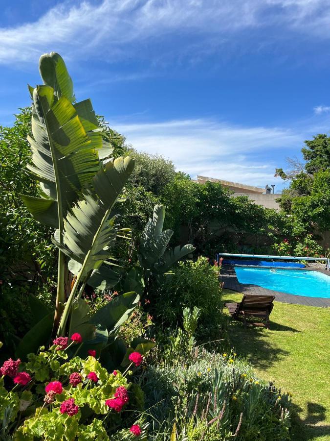 Sunset Beach Living Guesthouse Cape Town Dış mekan fotoğraf