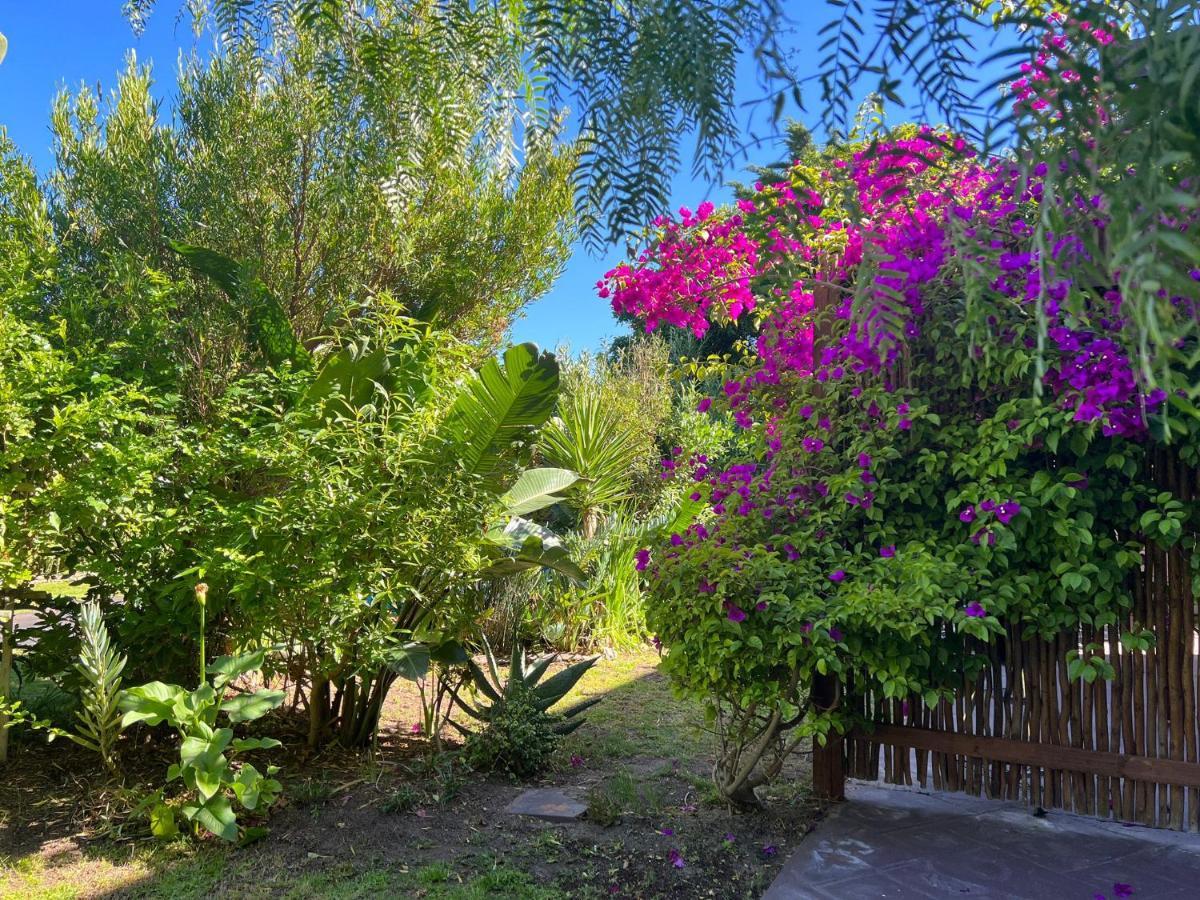 Sunset Beach Living Guesthouse Cape Town Dış mekan fotoğraf